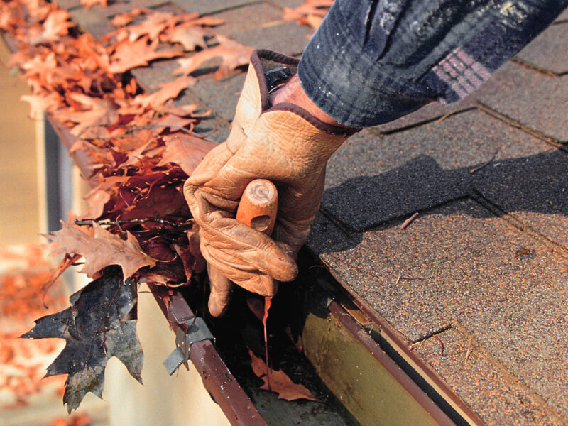 Hand taking leaves out of gutter